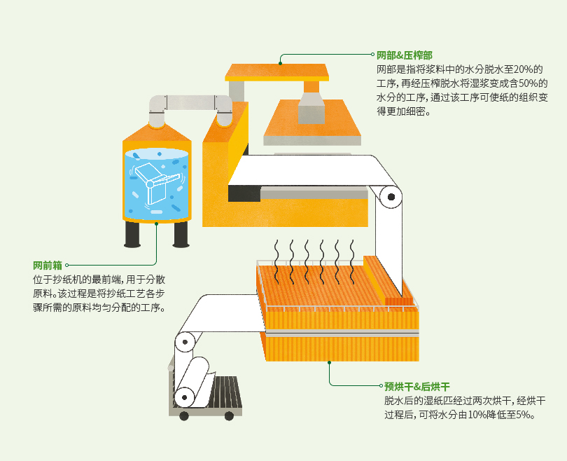 抄纸工段