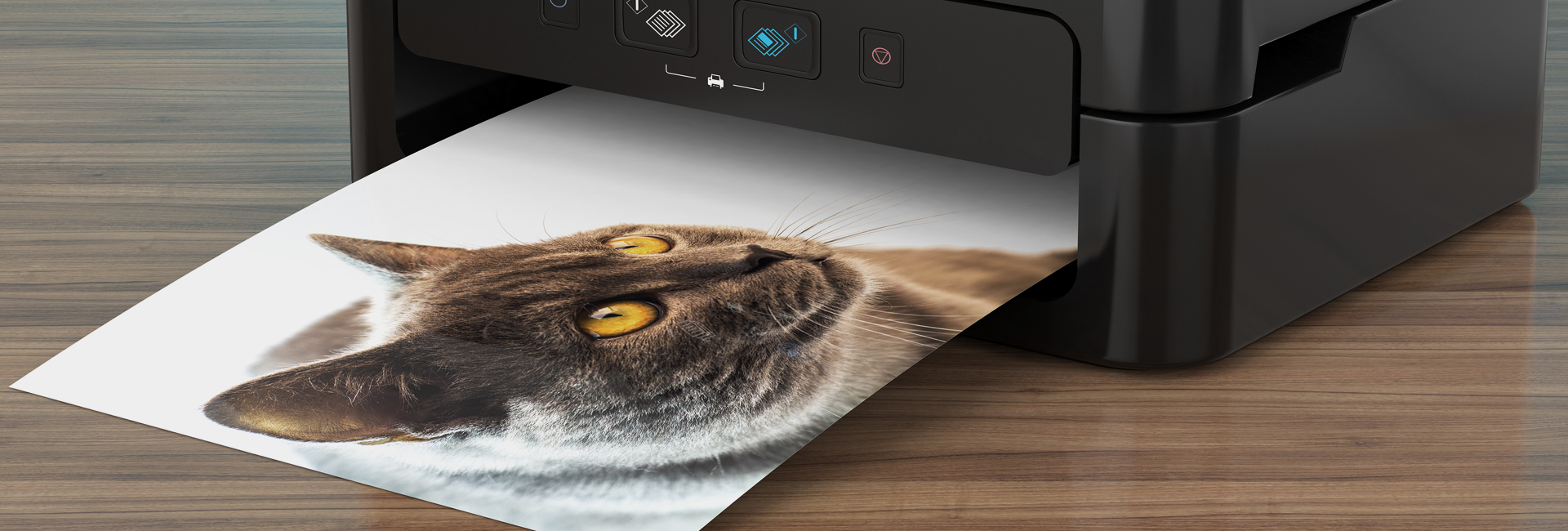 Digital Inkjet N 이미지
